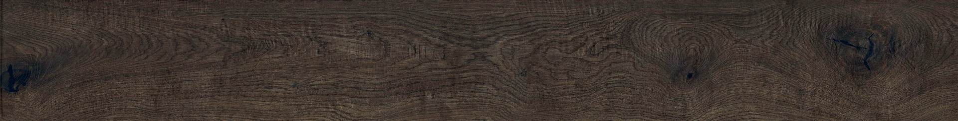 Vero Quercia Rett.