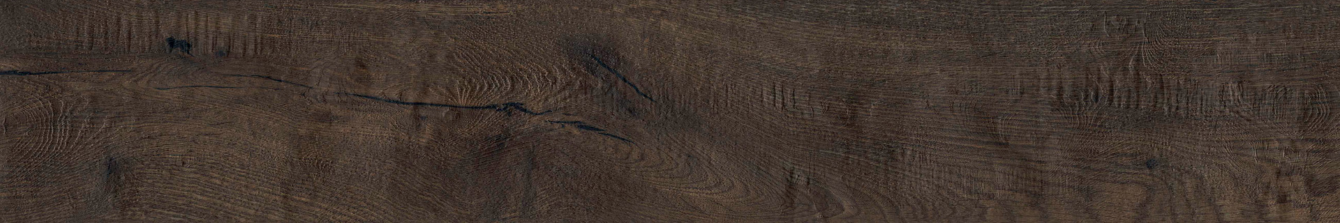 Vero Quercia Rett.