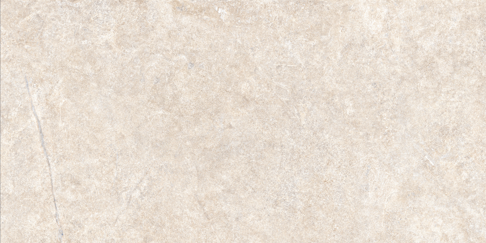Alchemy Porcelain Earth 4D 50×100