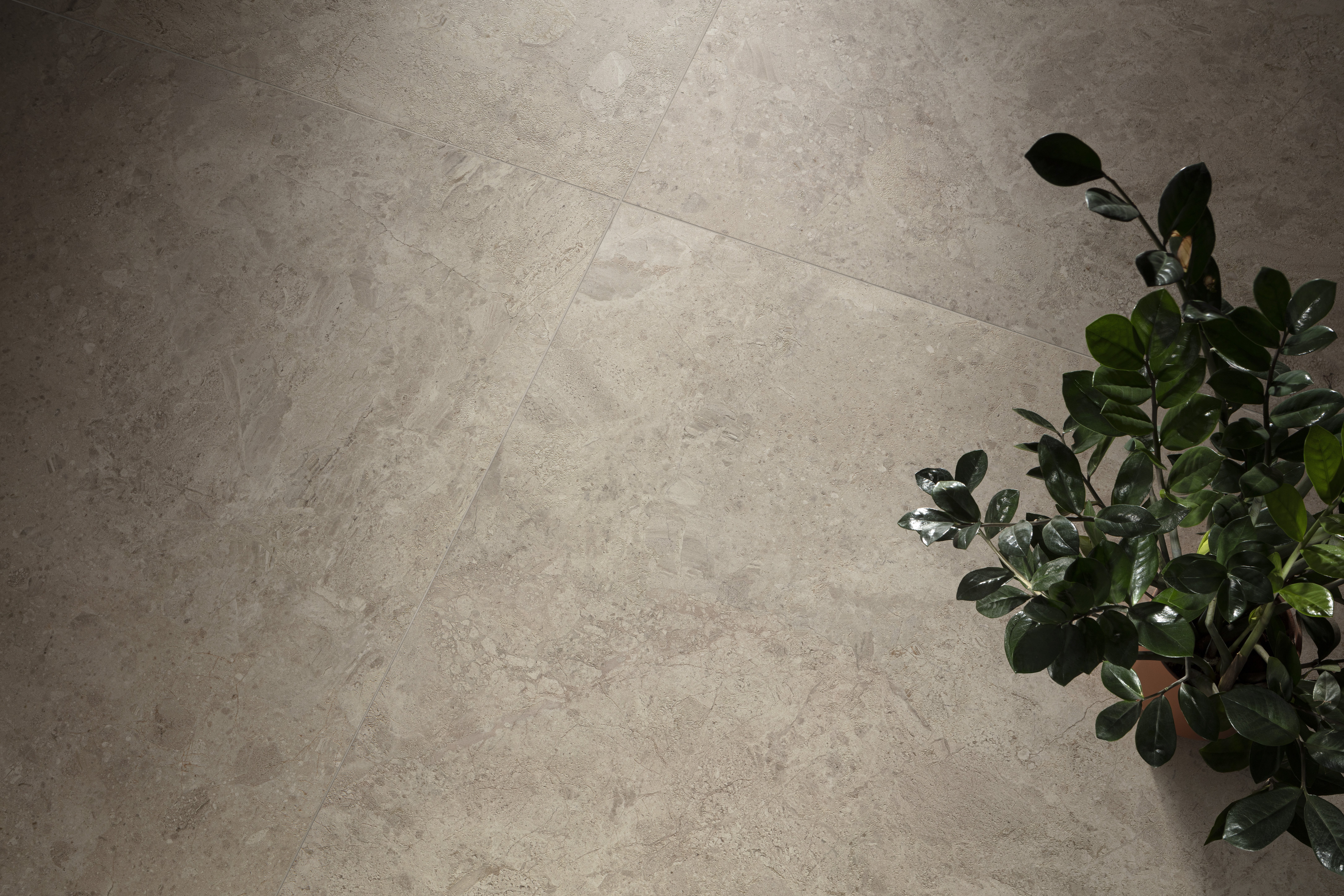 ARDARA PORCELAIN / интерьер