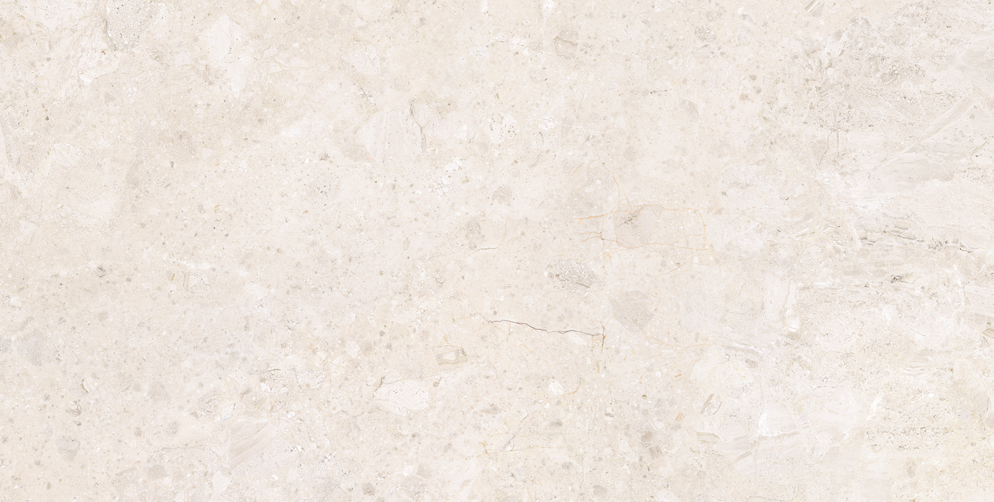 ARDARA PORCELAIN White SP 60×120