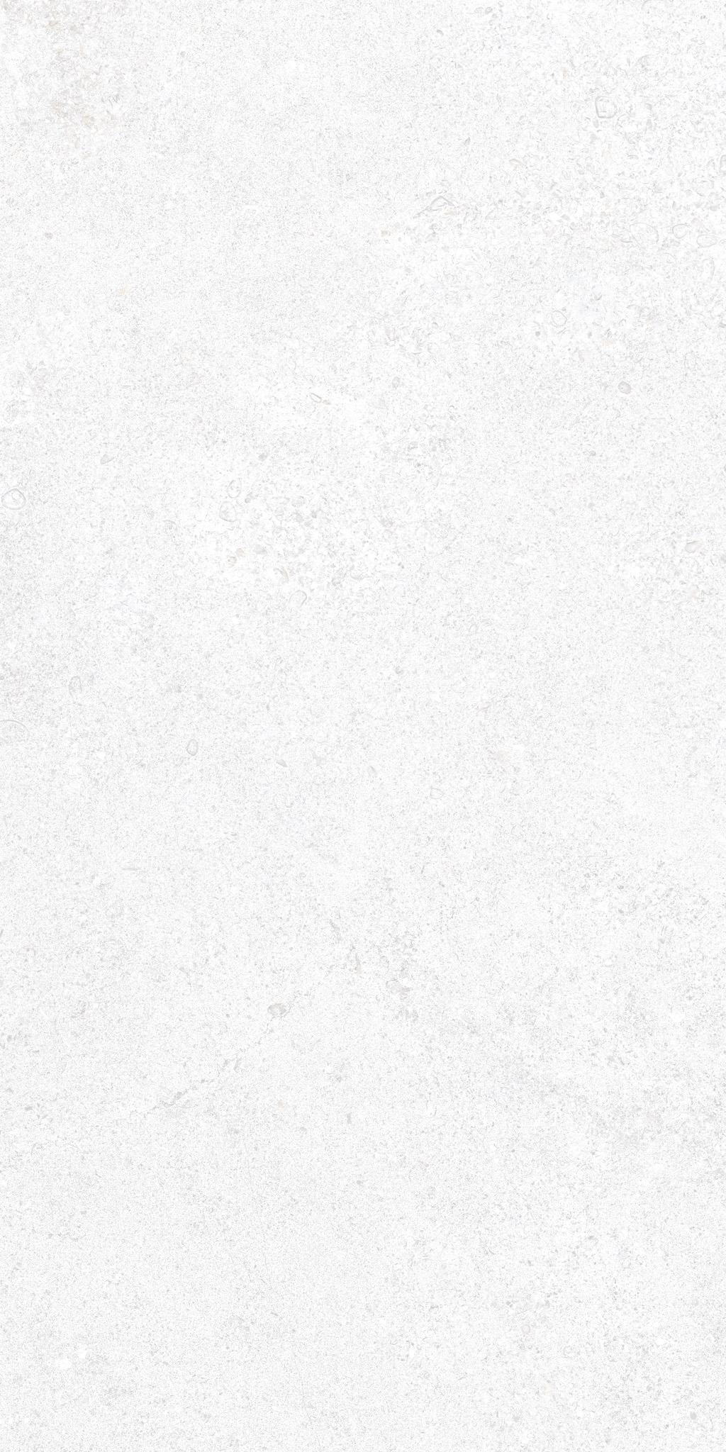 Cluny Porcelain White 4D (A) 50×100