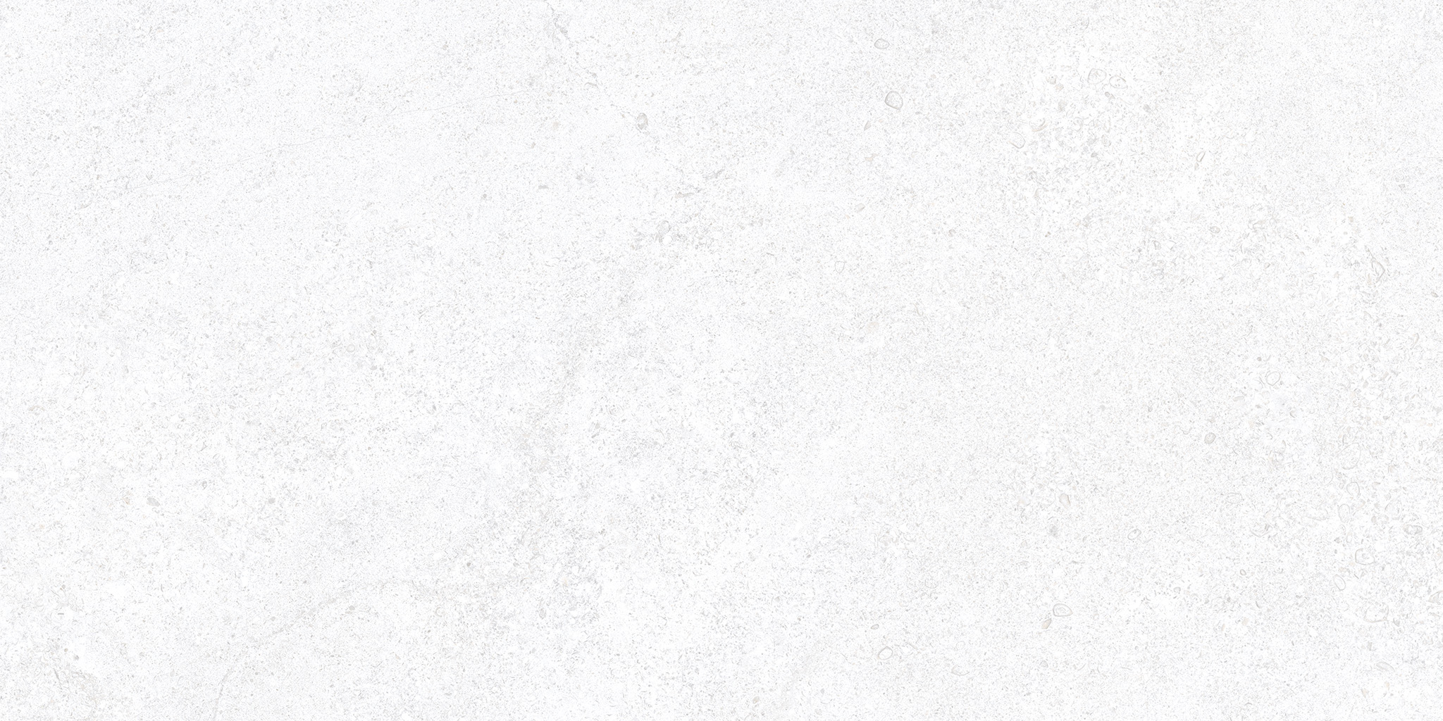 CLUNY PORCELAIN White AS 60×120