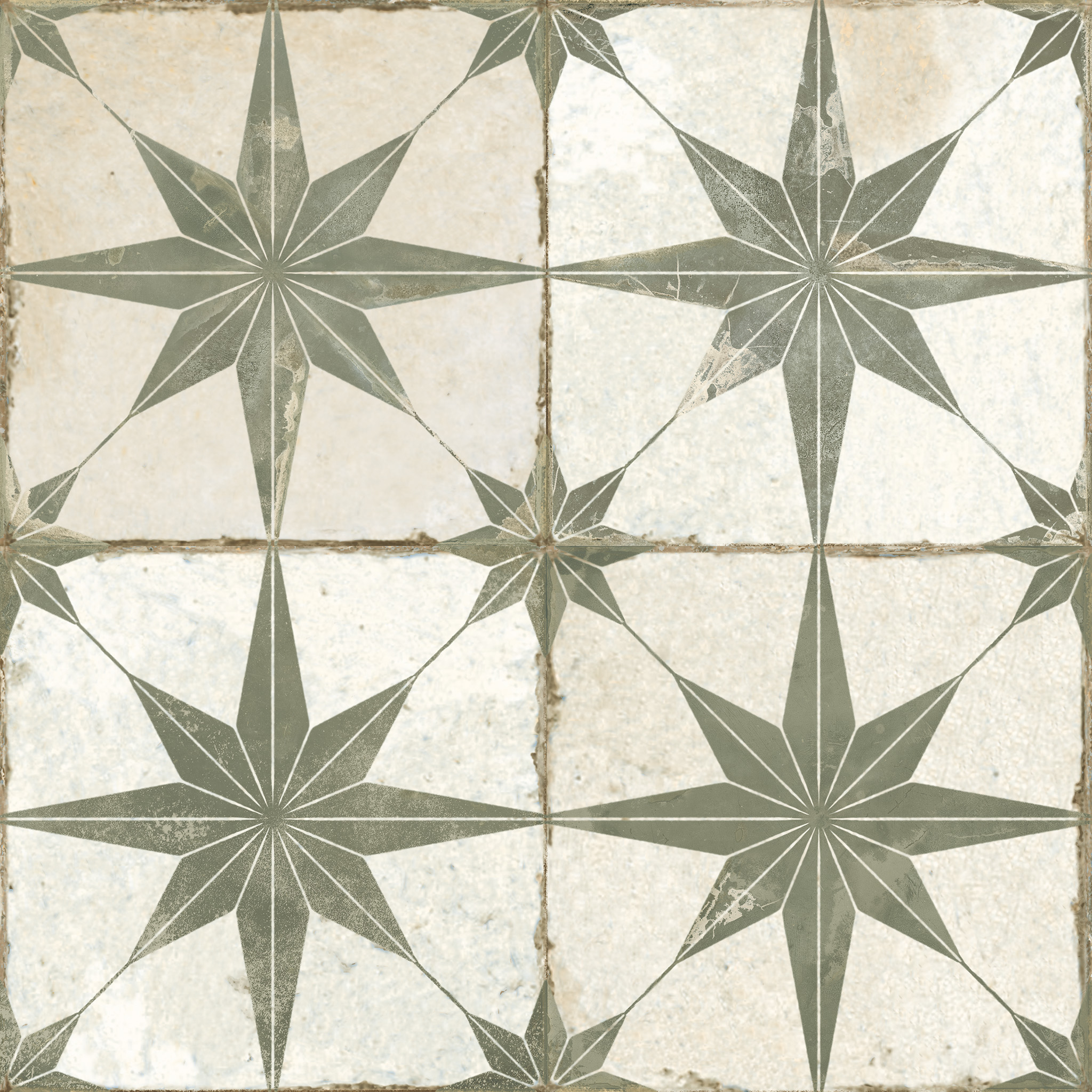 FS Star Sage 45×45