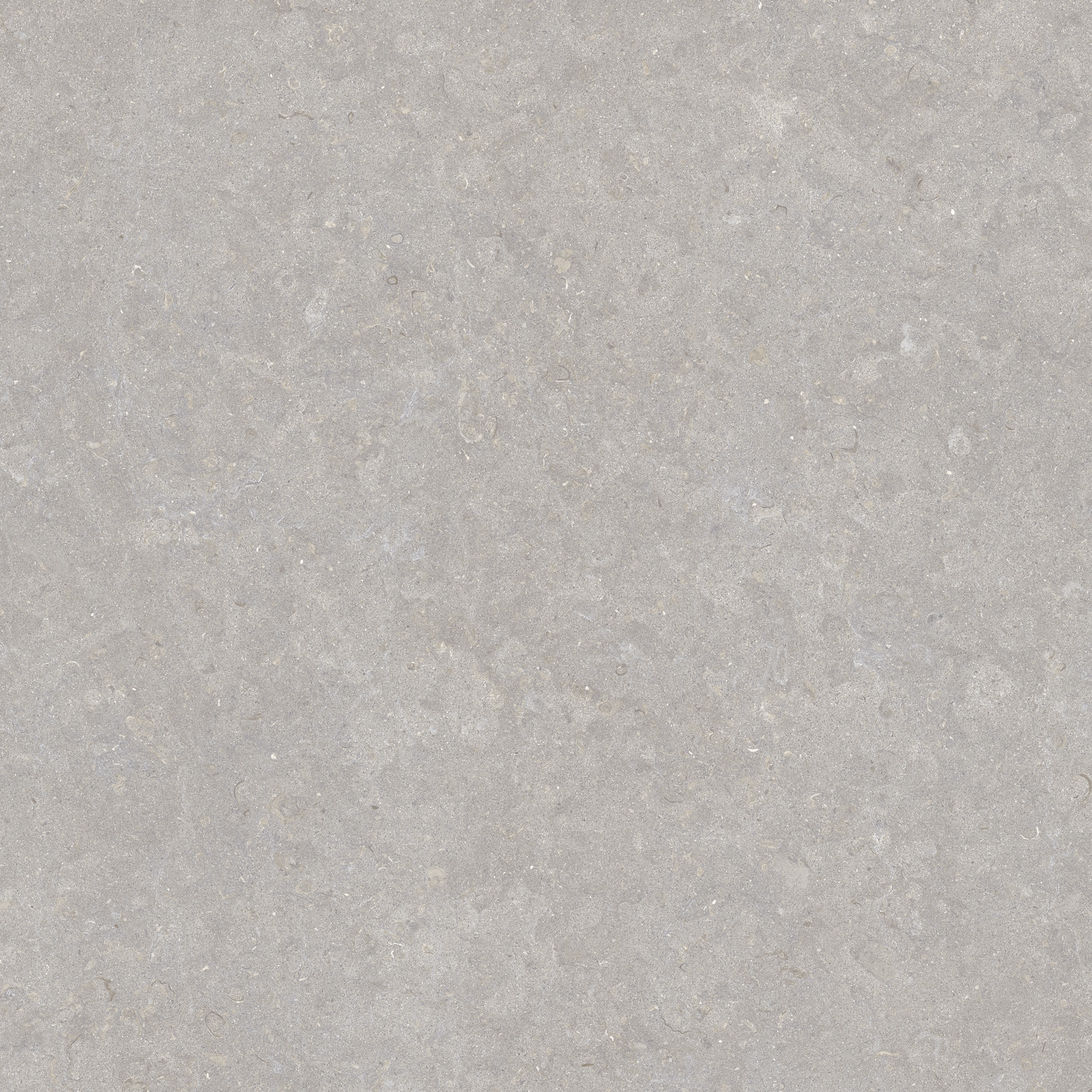 Ghent Porcelain Grey (A) 2мм 100×100