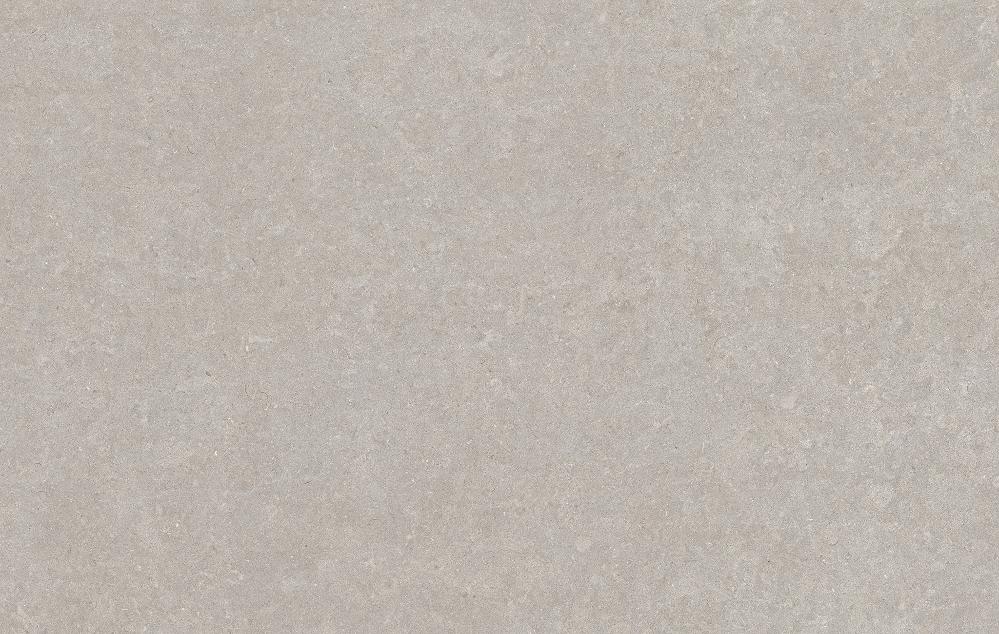 Ghent Porcelain Grey (SP) 100×180