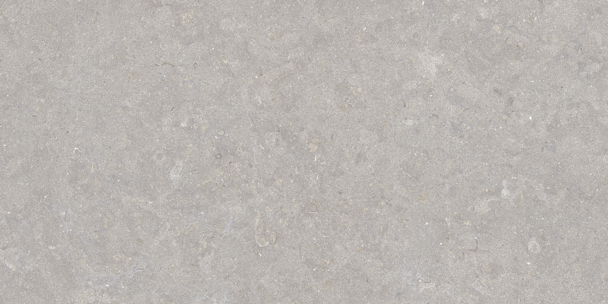Ghent Porcelain Grey (A) 50×100