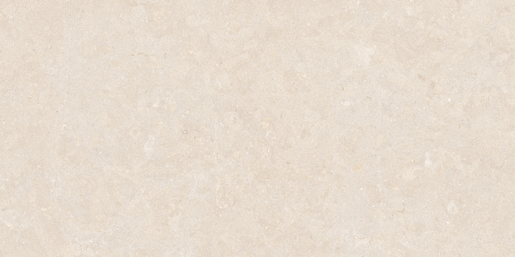 Ghent Porcelain Beige (A) 50×100