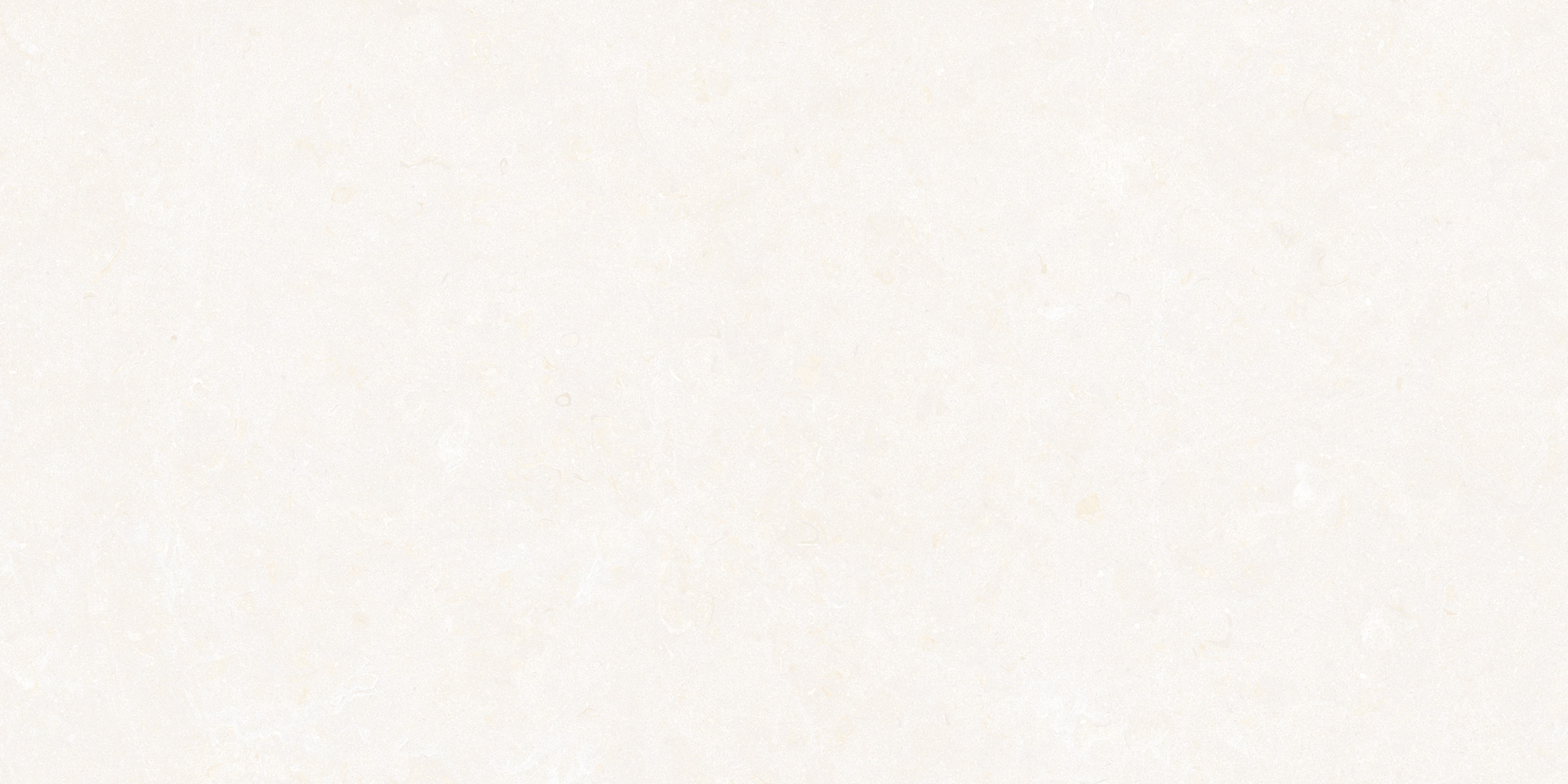 Ghent Porcelain White (A) 50×100