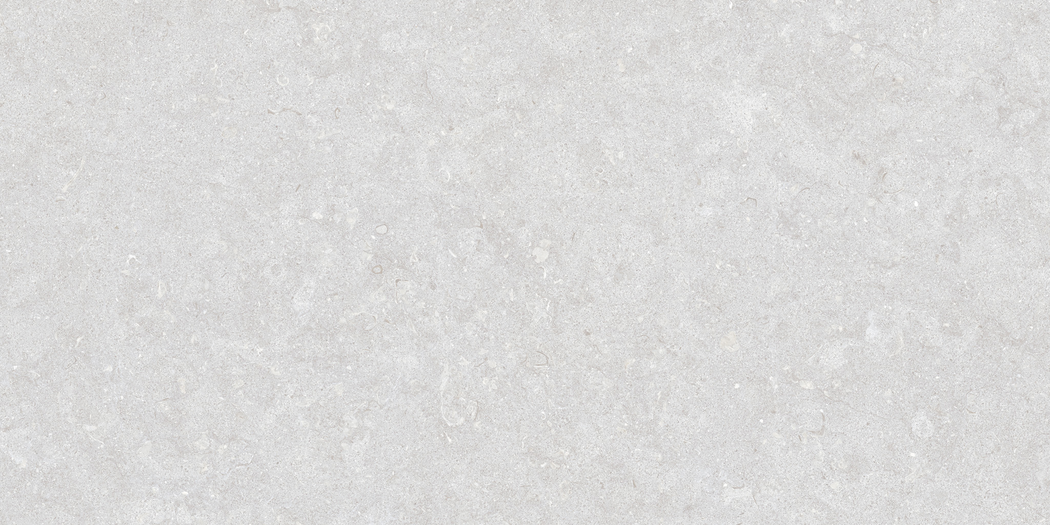 Ghent Porcelain Silver (A) 50×100