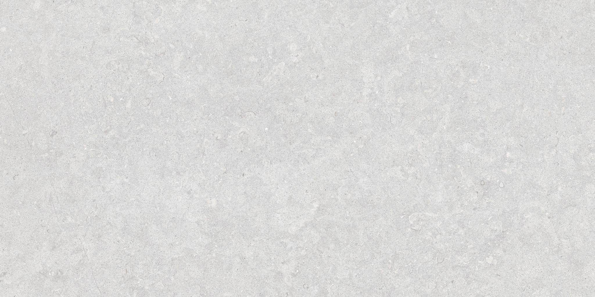 Ghent Porcelain Silver (AS) 60×120