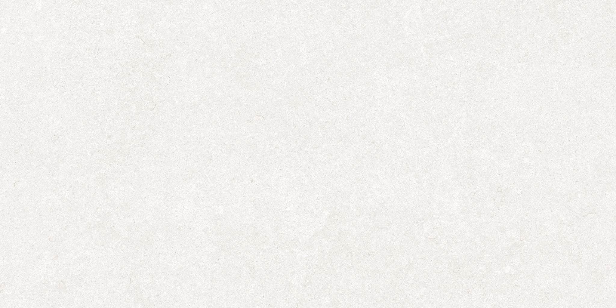 Ghent Porcelain White (AS) 60×120