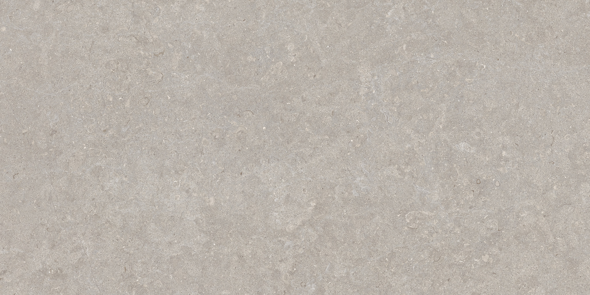 Ghent Porcelain Grey (AS) 60×120