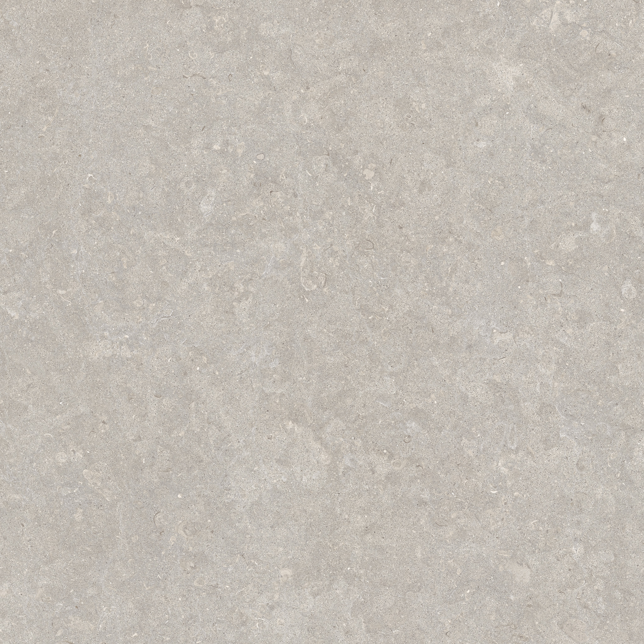 Ghent Porcelain Grey (AS) 90×90