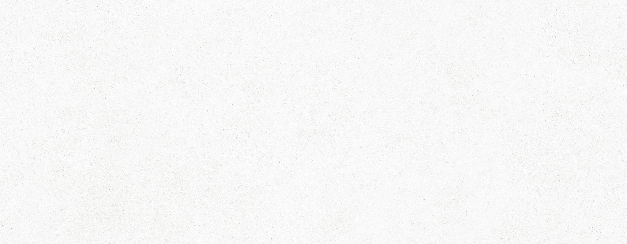 MANHATTAN PORCELAIN White SP 100×275