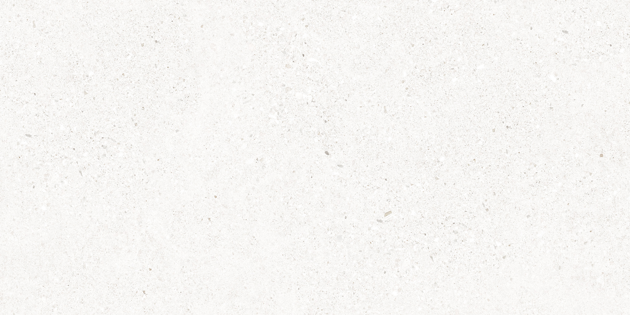 MANHATTAN PORCELAIN White 4D 50×100