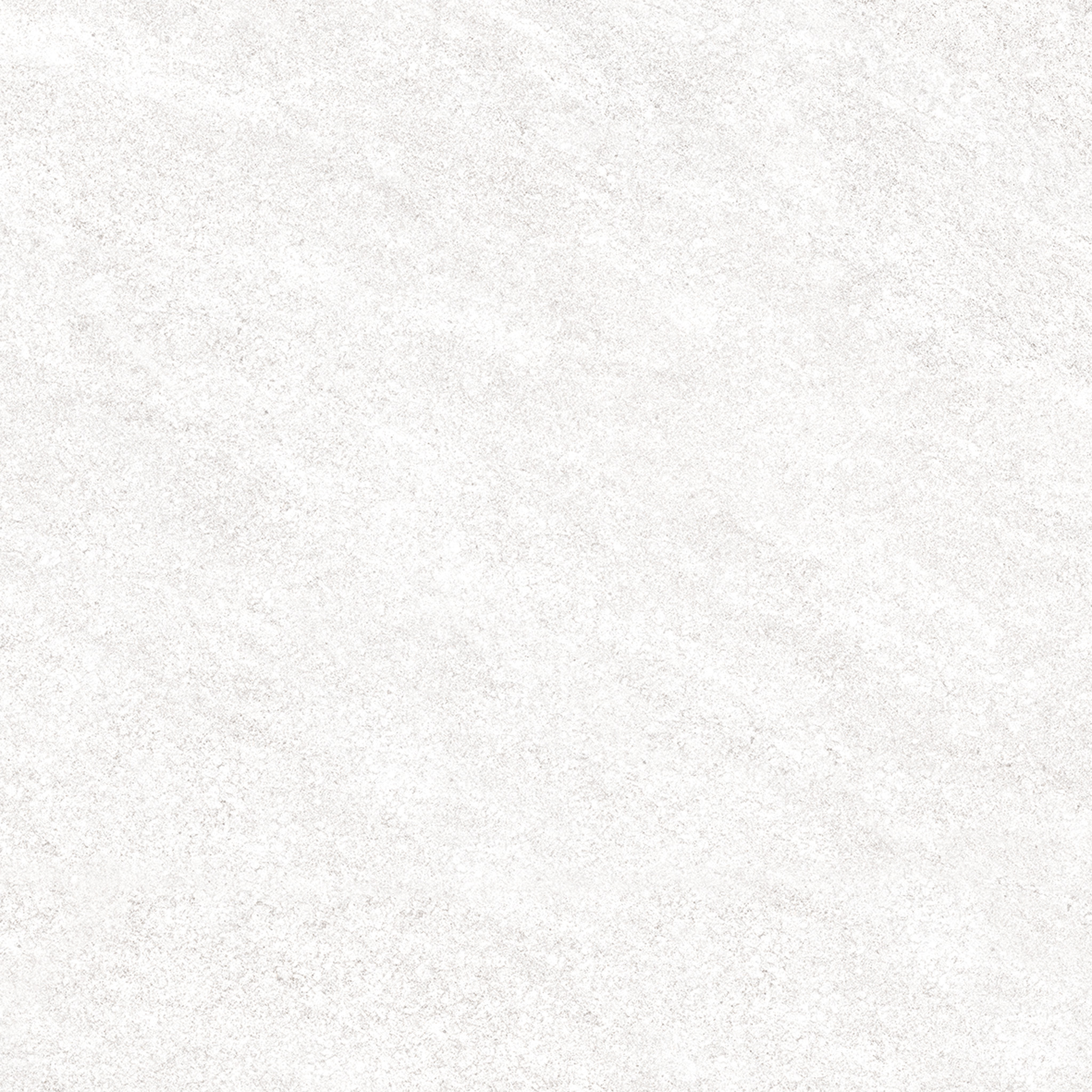NATURE PORCELAIN White SF 60×60