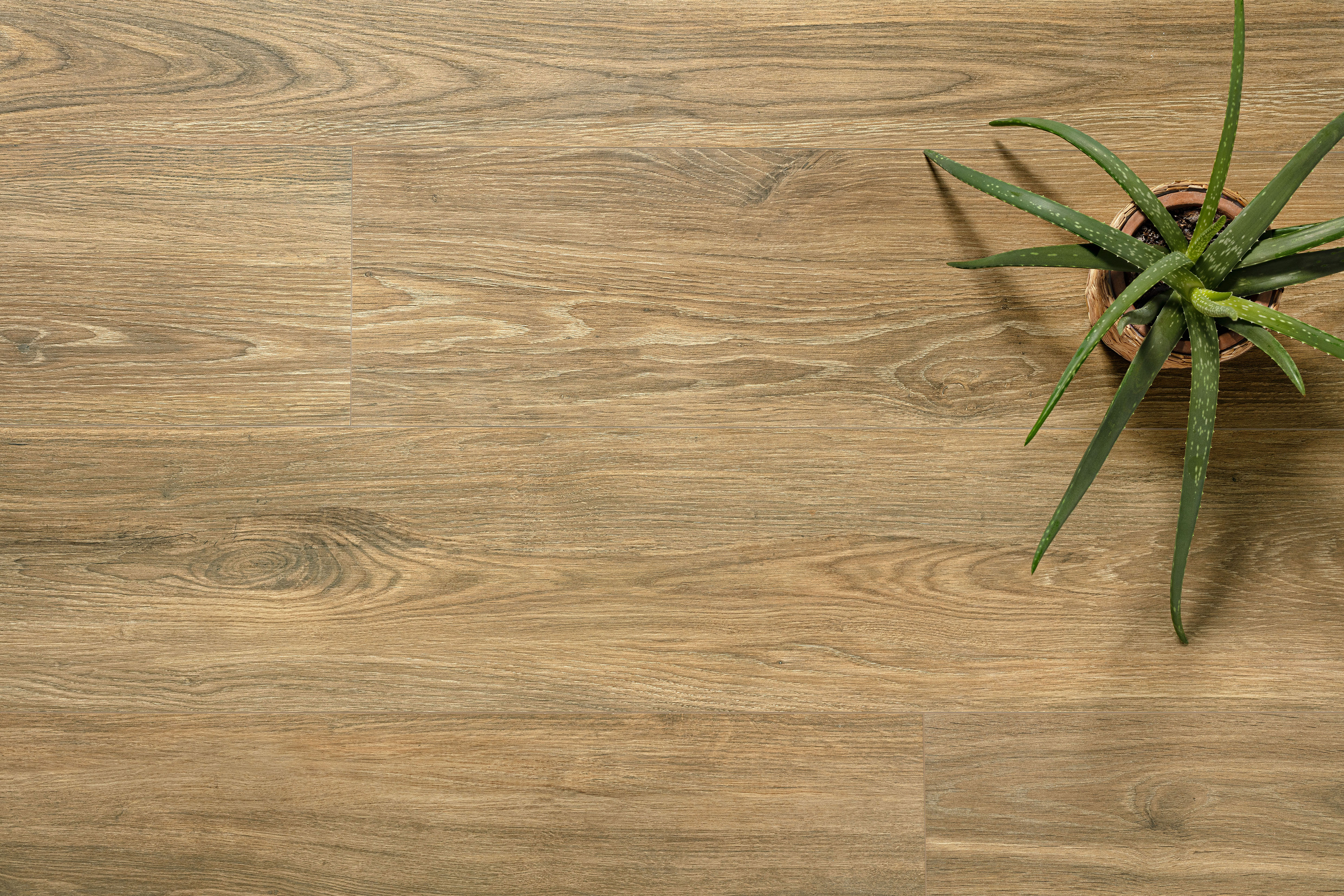 VERBIER PORCELAIN / интерьер