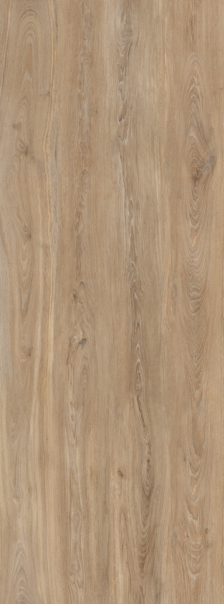 VERBIER PORCELAIN Honey SP 100×275