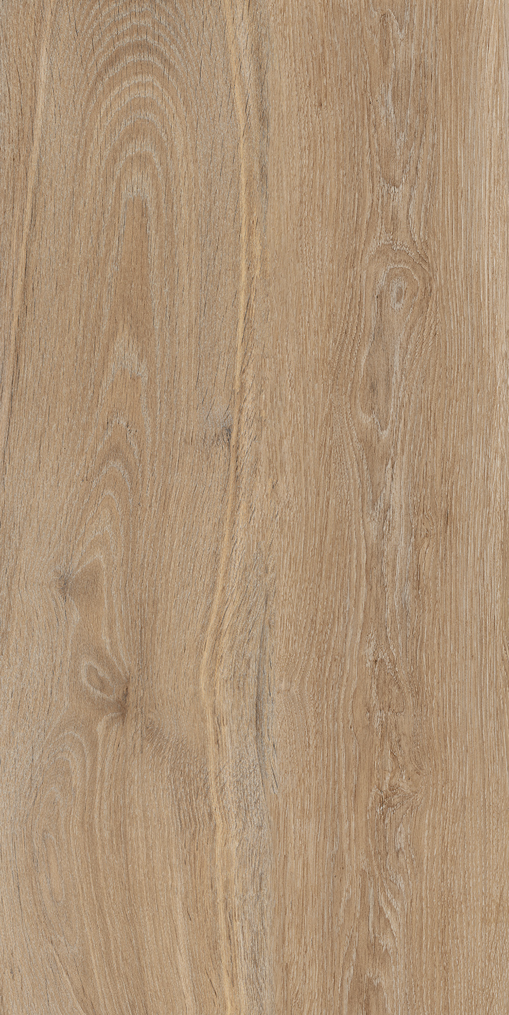 VERBIER PORCELAIN Honey 4D 50×100,01