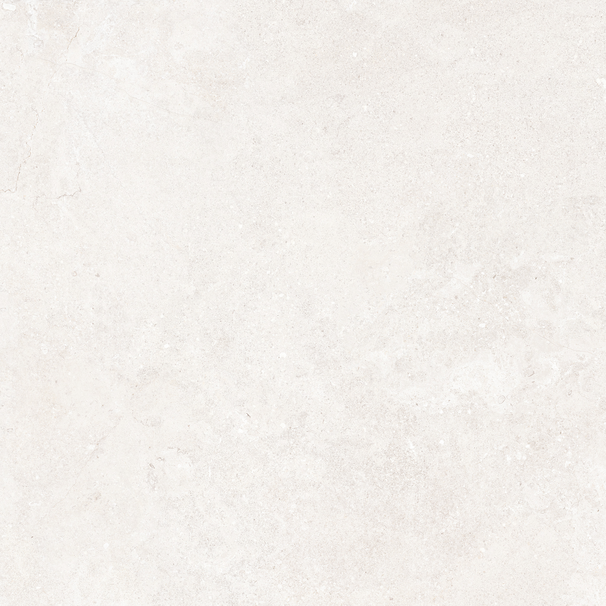 Versa Porcelain White (A) 120×120