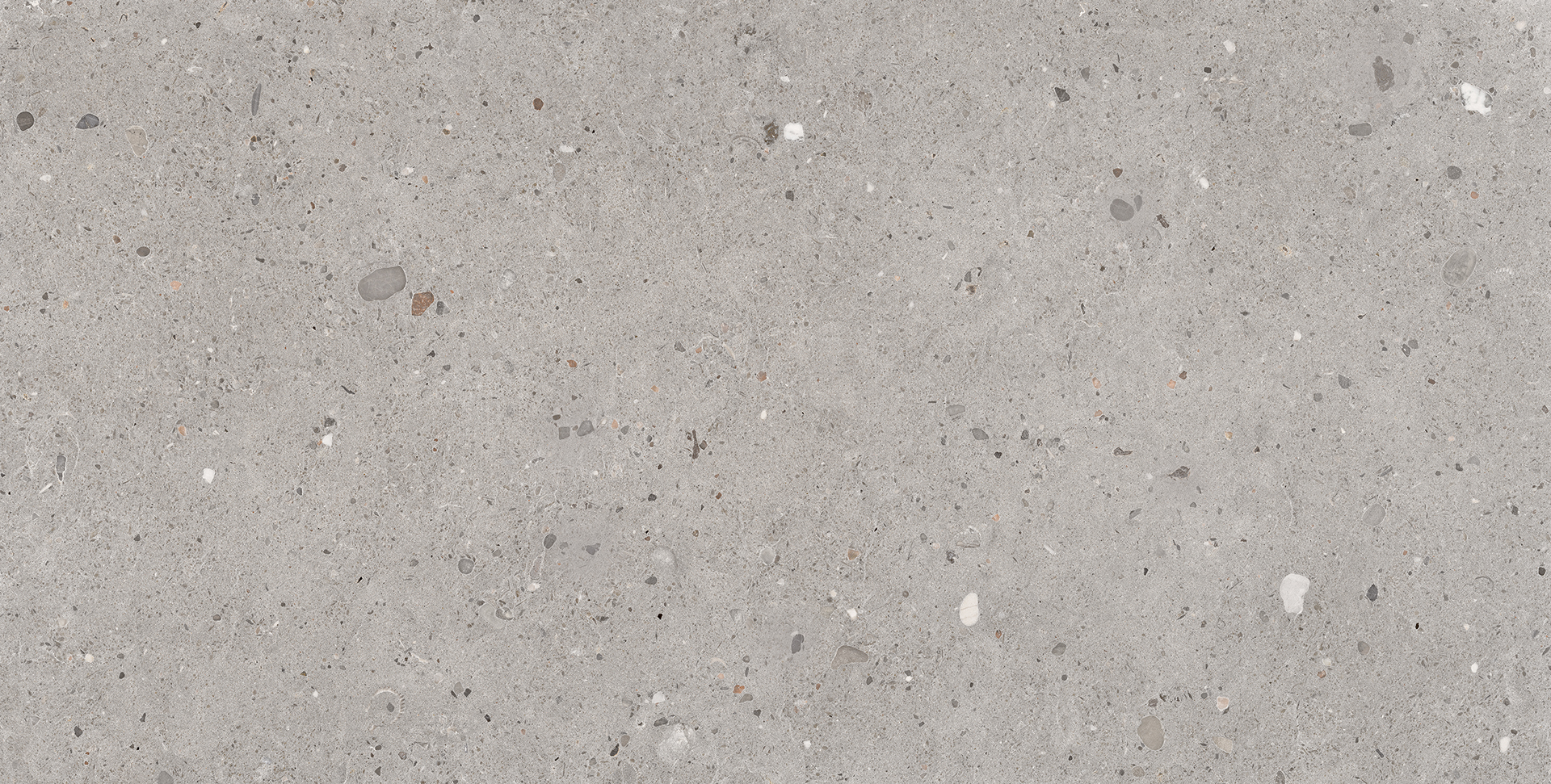 Fondo Grigio