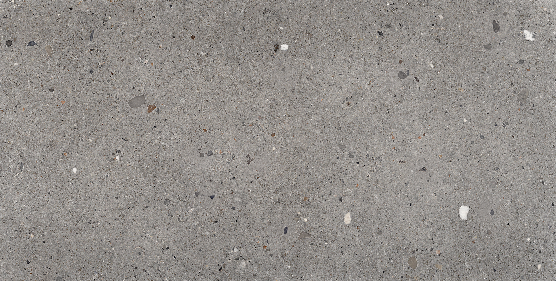 Fondo Grigio Scuro Naturale