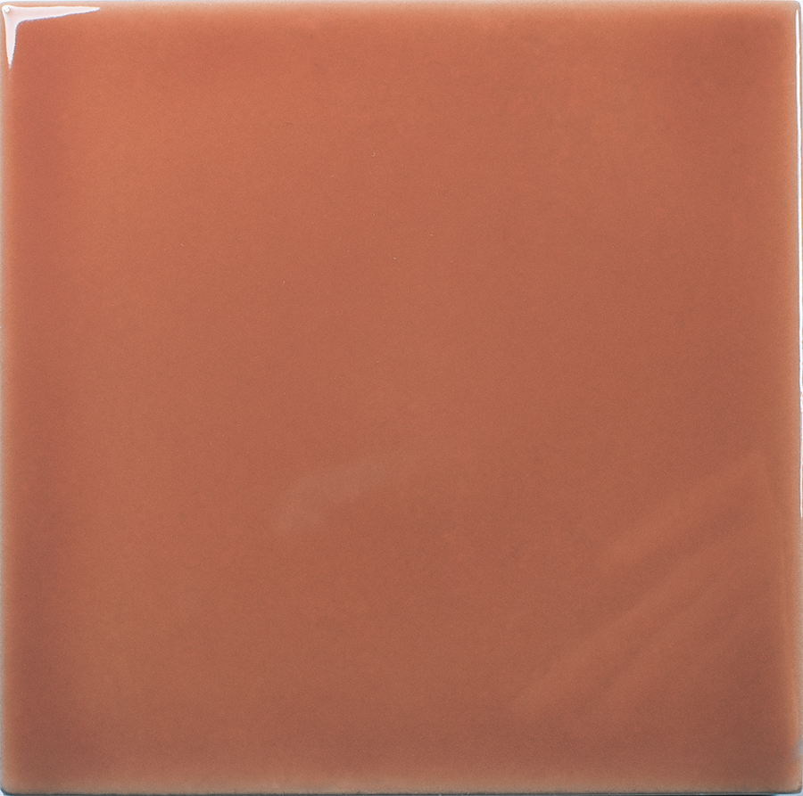Square Coral
