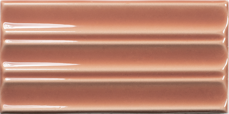 Belt Coral