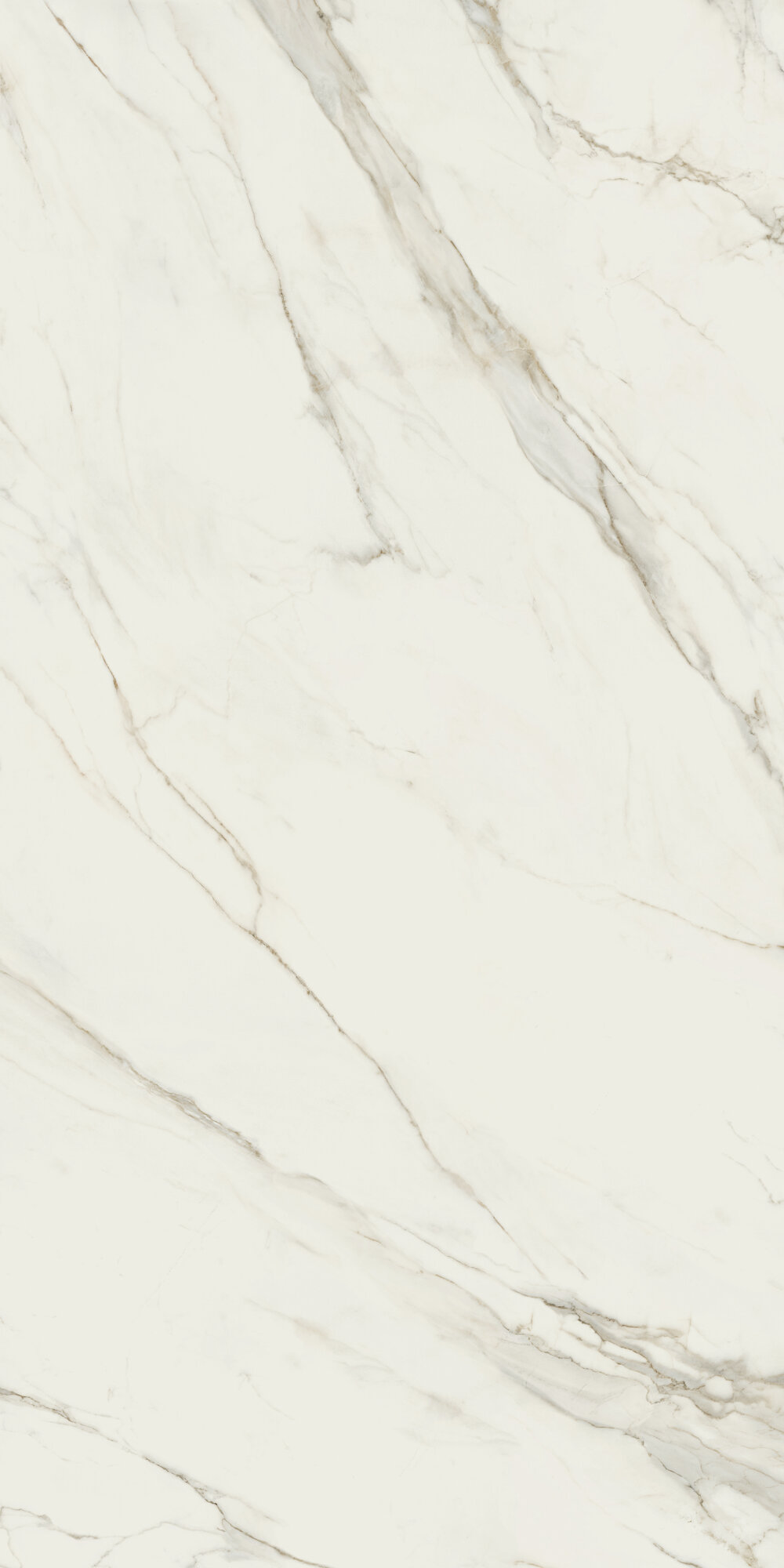 CALACATTA WHITE SOFT B